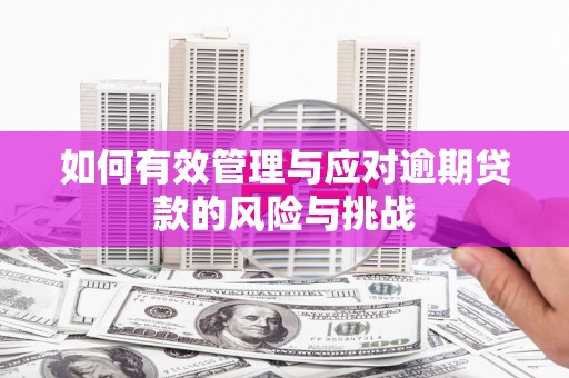 德保如何有效管理与应对逾期贷款的风险与挑战