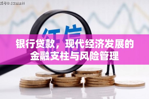德保银行贷款，现代经济发展的金融支柱与风险管理