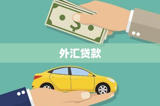 德保外汇贷款