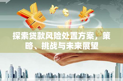 德保探索贷款风险处置方案，策略、挑战与未来展望