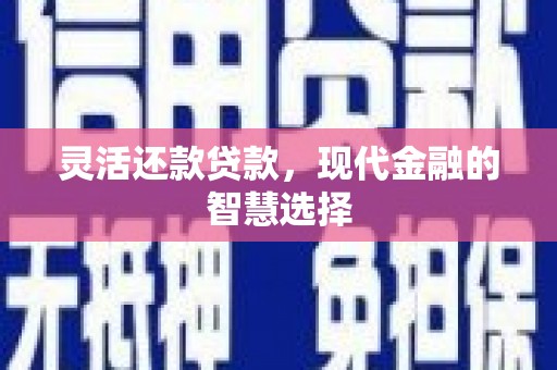 德保灵活还款贷款，现代金融的智慧选择