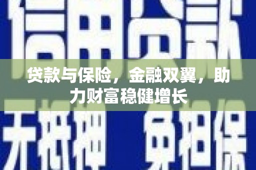 德保贷款与保险，金融双翼，助力财富稳健增长