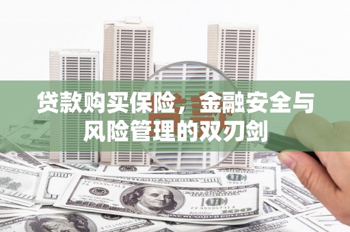 德保贷款购买保险，金融安全与风险管理的双刃剑