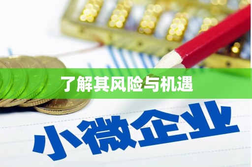 德保了解其风险与机遇