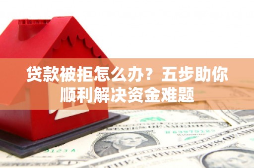 德保贷款被拒怎么办？五步助你顺利解决资金难题