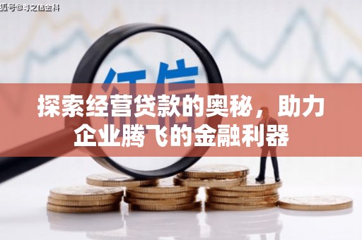 德保探索经营贷款的奥秘，助力企业腾飞的金融利器