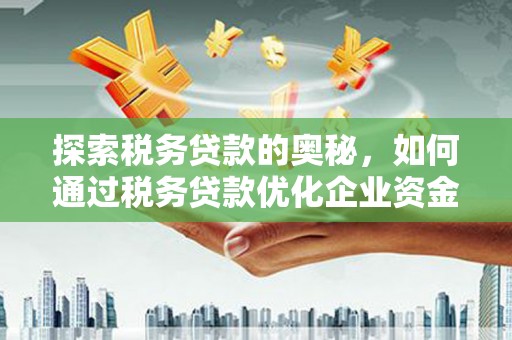 德保探索税务贷款的奥秘，如何通过税务贷款优化企业资金流