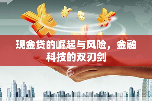 德保现金贷的崛起与风险，金融科技的双刃剑