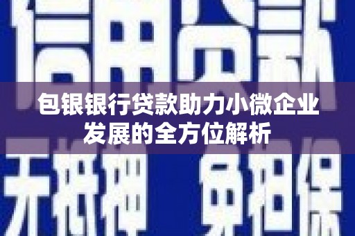 德保包银银行贷款助力小微企业发展的全方位解析
