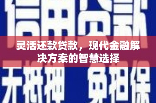 德保灵活还款贷款，现代金融解决方案的智慧选择