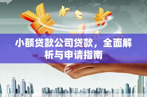 德保小额贷款公司贷款，全面解析与申请指南