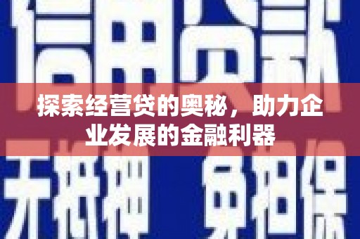 德保探索经营贷的奥秘，助力企业发展的金融利器