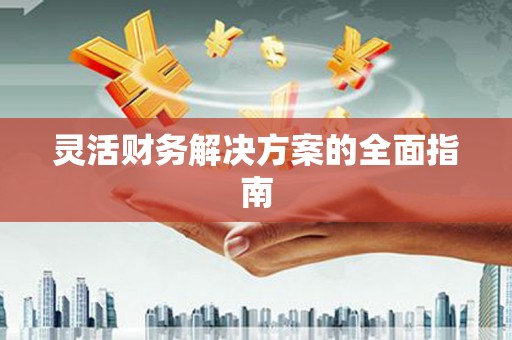 德保灵活财务解决方案的全面指南