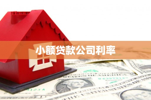 德保小额贷款公司利率