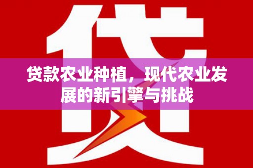 德保贷款农业种植，现代农业发展的新引擎与挑战