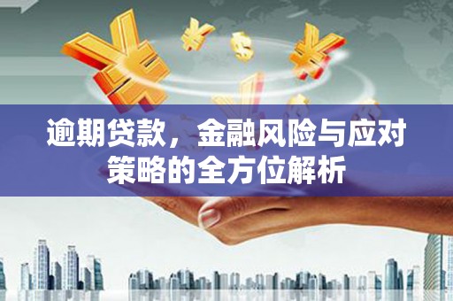 德保逾期贷款，金融风险与应对策略的全方位解析