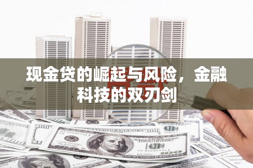 德保现金贷的崛起与风险，金融科技的双刃剑