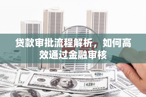 德保贷款审批流程解析，如何高效通过金融审核