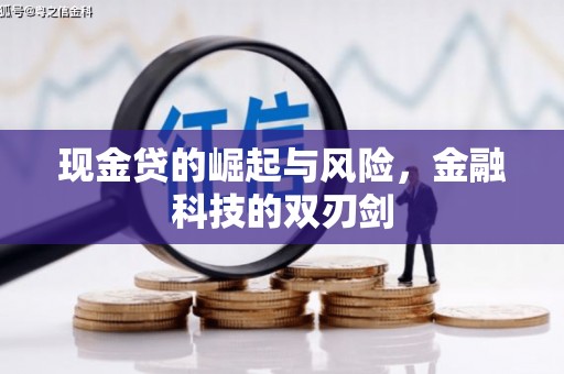 德保现金贷的崛起与风险，金融科技的双刃剑