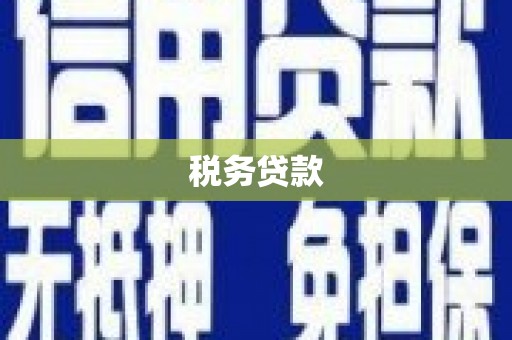 德保税务贷款