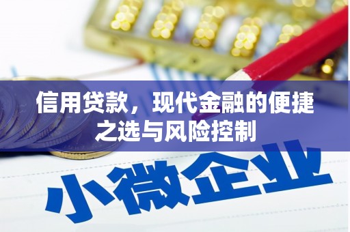 德保信用贷款，现代金融的便捷之选与风险控制