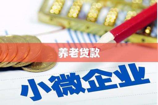 德保养老贷款