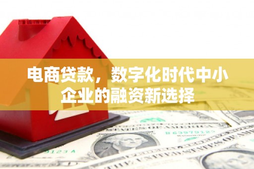 德保电商贷款，数字化时代中小企业的融资新选择