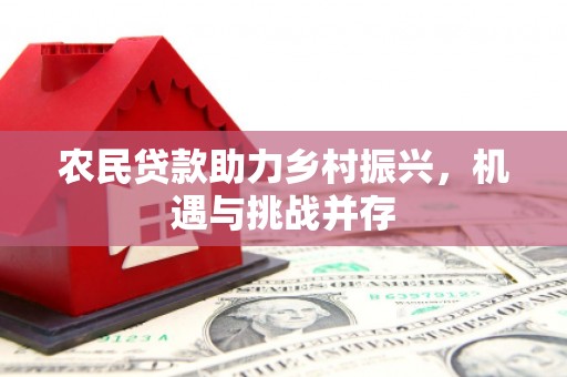 德保农民贷款助力乡村振兴，机遇与挑战并存