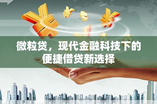 德保微粒贷，现代金融科技下的便捷借贷新选择