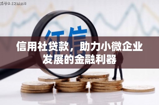 德保信用社贷款，助力小微企业发展的金融利器