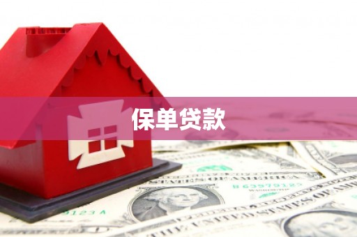 德保保单贷款