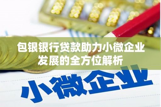德保包银银行贷款助力小微企业发展的全方位解析