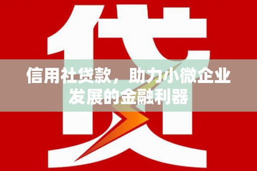 德保信用社贷款，助力小微企业发展的金融利器