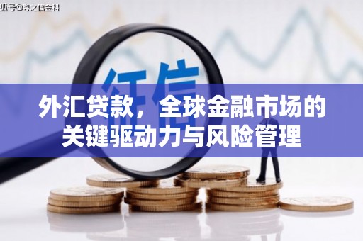 德保外汇贷款，全球金融市场的关键驱动力与风险管理