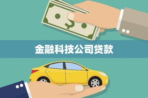 德保金融科技公司贷款