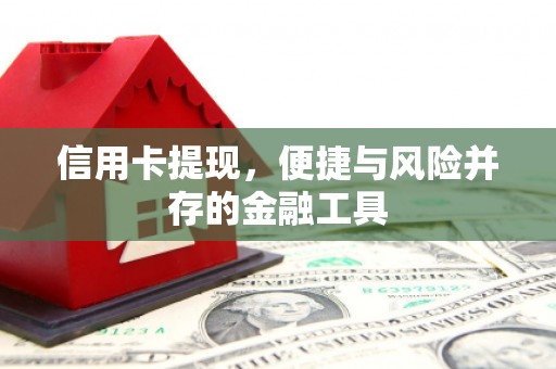 德保信用卡提现，便捷与风险并存的金融工具
