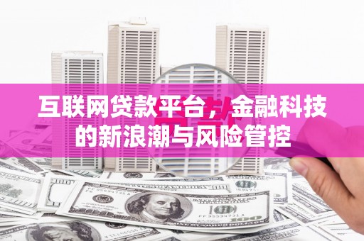 德保互联网贷款平台，金融科技的新浪潮与风险管控