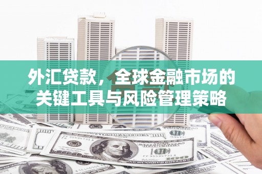 德保外汇贷款，全球金融市场的关键工具与风险管理策略