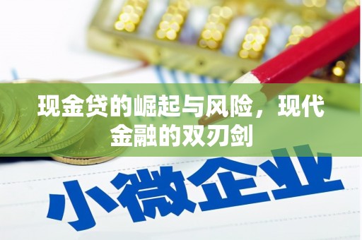 德保现金贷的崛起与风险，现代金融的双刃剑