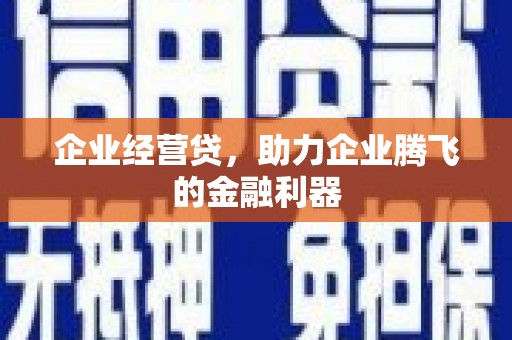 德保企业经营贷，助力企业腾飞的金融利器