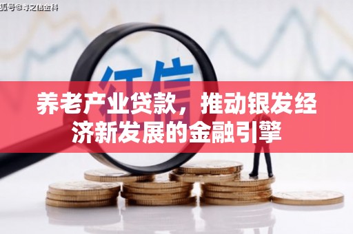 德保养老产业贷款，推动银发经济新发展的金融引擎