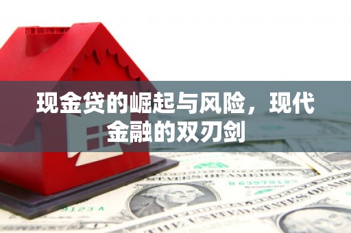 德保现金贷的崛起与风险，现代金融的双刃剑