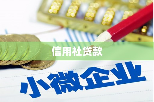 德保信用社贷款