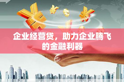 德保企业经营贷，助力企业腾飞的金融利器