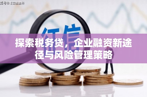 德保探索税务贷，企业融资新途径与风险管理策略