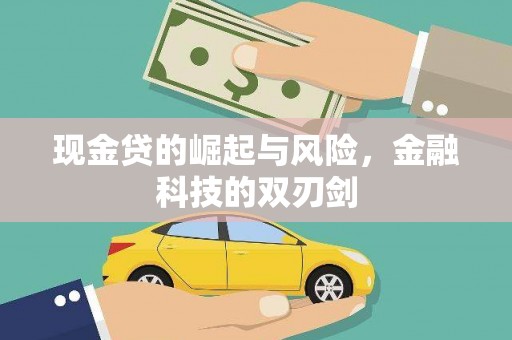 德保现金贷的崛起与风险，金融科技的双刃剑