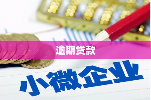 德保逾期贷款