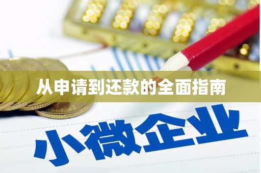德保从申请到还款的全面指南
