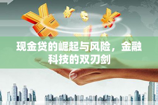 德保现金贷的崛起与风险，金融科技的双刃剑