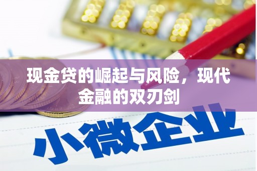 德保现金贷的崛起与风险，现代金融的双刃剑